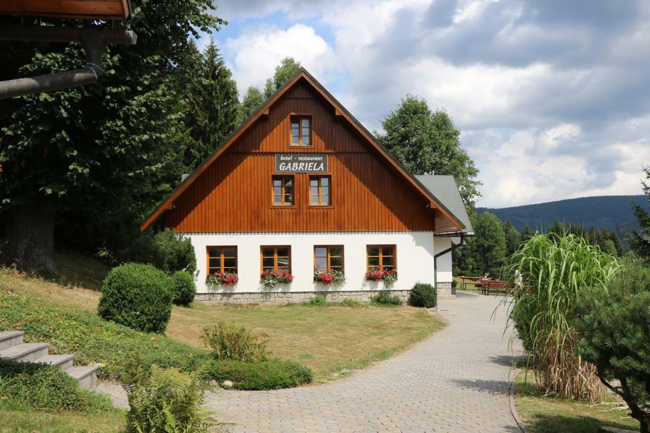 Hotel Gabriela Vítkovice Exterior foto